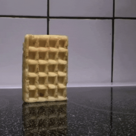 Waffle Falling Over GIF