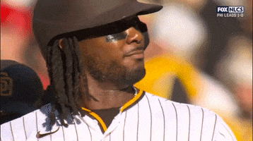 Baseball GIF