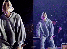 Concert Jin GIF