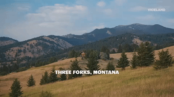 Montana GIF by Hate Thy Neighbor