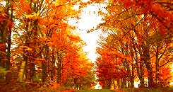 Favorite season/month?