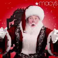 Merry Christmas Reaction GIF by Macy's's