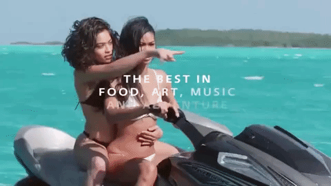 Fyre Festival Gifs Get The Best Gif On Giphy