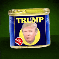 impeach donald trump GIF by Bubble Punk