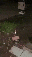 firework fail GIF