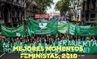 Feminiso Todo Limã³N GIF