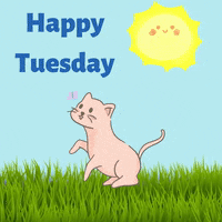 Happy Tuesday GIF by Maria Johnsen