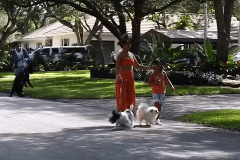 giphy.gif?cid=5e2148867561134c206c5f14fe
