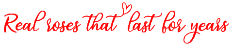 Heart Love Sticker by GRACE Flowerbox