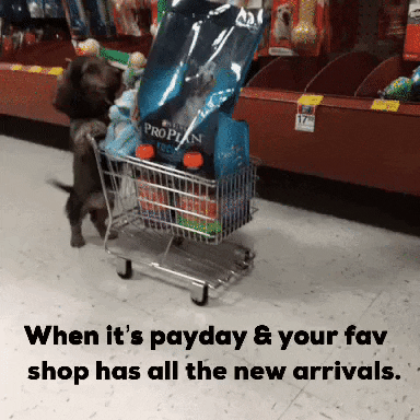 Pay Day Month End GIF by beangoods