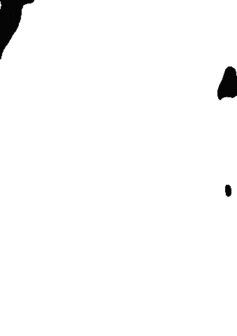 HairstudioTwins Sticker