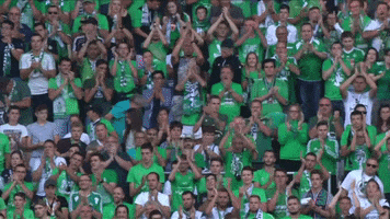 fans applause GIF by AS Saint-Etienne