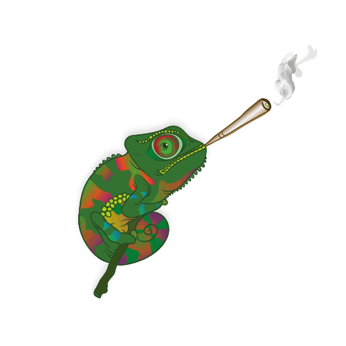 Smoke Chameleon Sticker by PURIZE® Filters