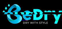 DryWithStyle GIF