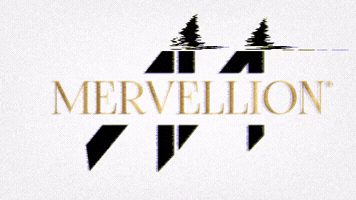 mervellion GIF
