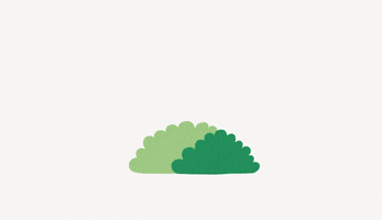 Blocket GIF