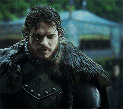 robb stark