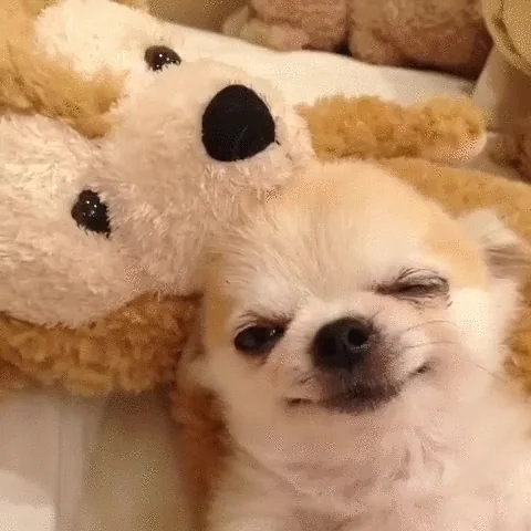 user selected gif to show the mood of sleepy