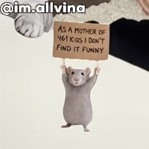 Mouse Dancingmom GIF