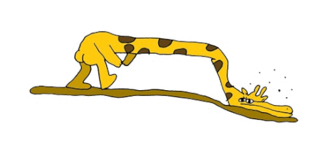 200.gif?cid=fc005b08720c93dfc274de62723392eac845965f203ec45c&rid=200.gif&ct=g