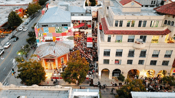 Santa Cruz Drop GIF by Santa Cruz Museum of Art & History