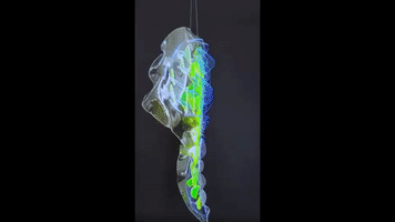 Art Artwork GIF