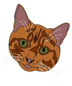 Cat Kitten Sticker by Petriage