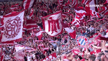 excited football GIF by FC Bayern Munich