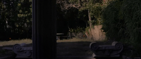 Ghost Being GIF by The Orchard Films - Find & Share on GIPHY