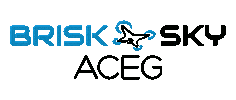 brisksky-aceg Sticker