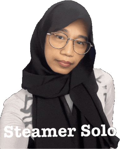 Steamer Solo Sticker