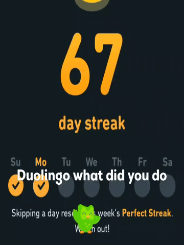 Duolingo What Did You Do GIF