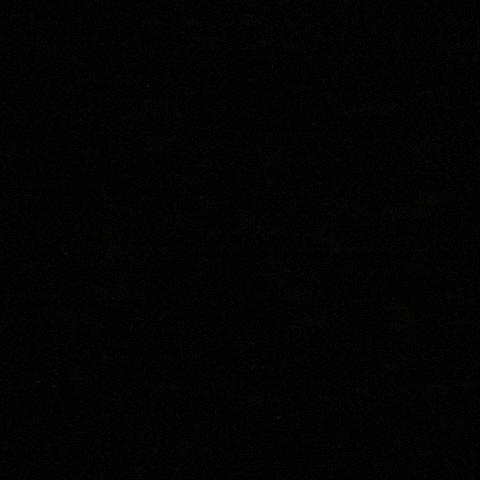 Halloween No GIF by Exclusive Brands