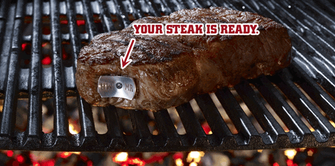 steak with meat thermometer