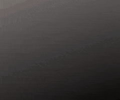 Pet GIF