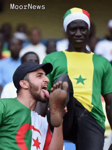 Algeria Senegal GIF