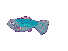 Fish Ryba Sticker by Szabi