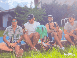 stoaschlog. GIF