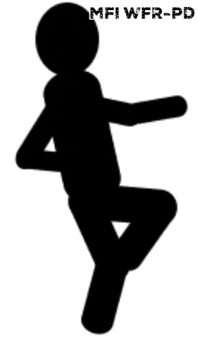 Management Forensics Institute GIF