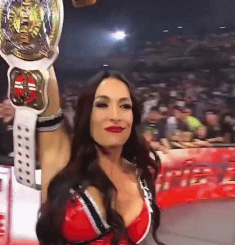 Brie Bella Wwe GIF