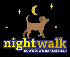 Bakersfield Night Walk GIF