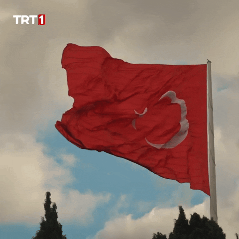 Flag Dizi GIF by TRT