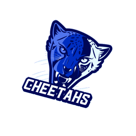 HellcatsCheer Sticker