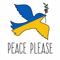 Vladimir Putin Peace GIF by pinotti