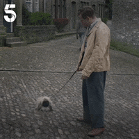 200.gif?cid=fc005b086440e37dc2839dcdf59ae35c97c80252ffcfdffd&rid=200.gif&ct=g