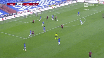 Sampdoria GIF