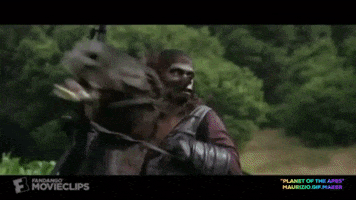 Planet Of The Apes GIF