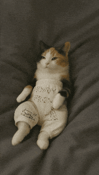 Chewy GIF