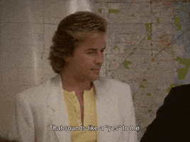 Miami Vice Yes GIF by Goldmaster