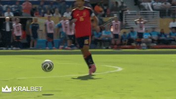 Worldchampion GIF by Kral Social